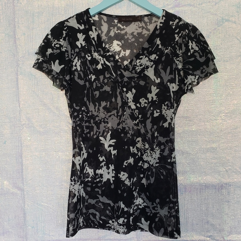 The Limited Sheer Blouse